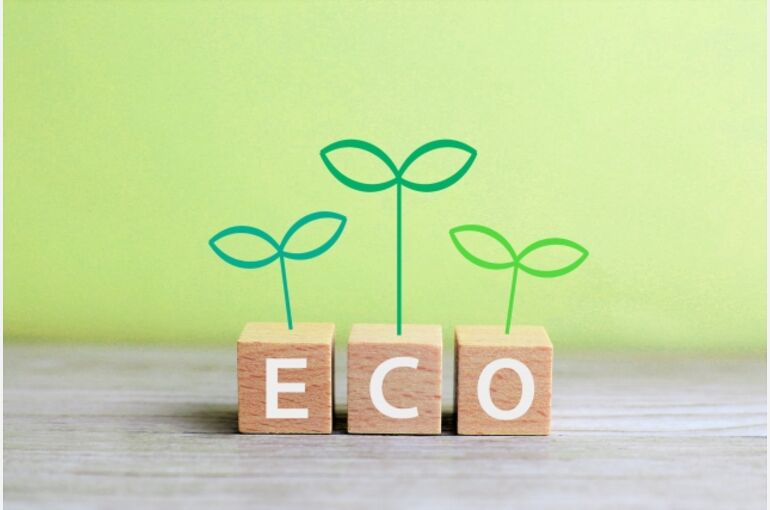 10001537_s
